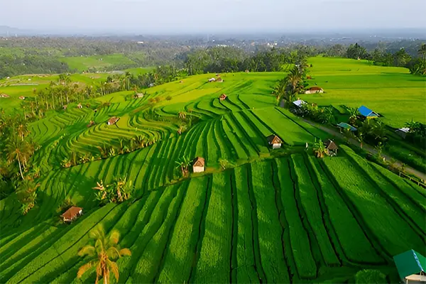 Best Bali Tour Package